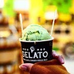 Gelato & Ice Cream Chocomory